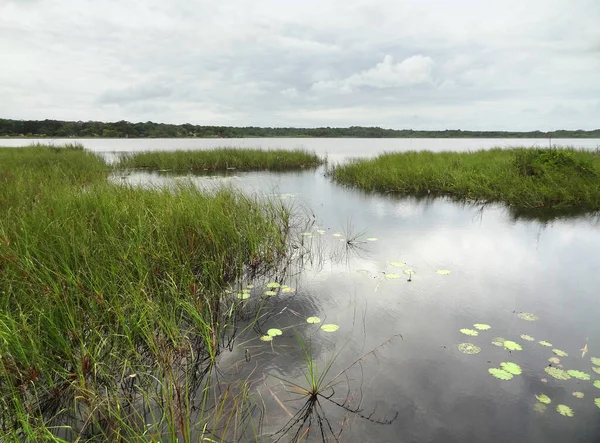 Idyllische Wetlands Landschap Rond Coba Een Dorp Mexico — Stockfoto