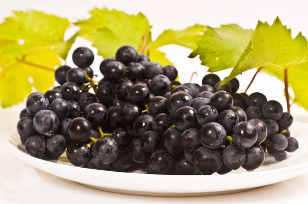 Świeże Czerwone Winogrona Liśćmi Winorośli Białym Tle — Zdjęcie stockowe