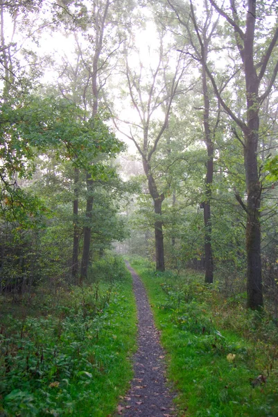 Herfst Landschap Het Centrum Van Duitsland — Stockfoto