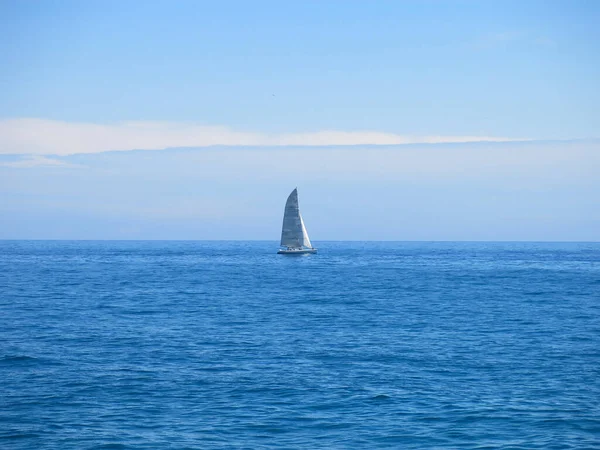 Fondo Pantalla Tema Marino Disparo Luz Del Día — Foto de Stock