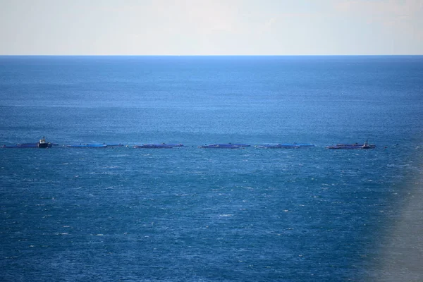 地中海での魚 スペイン — ストック写真