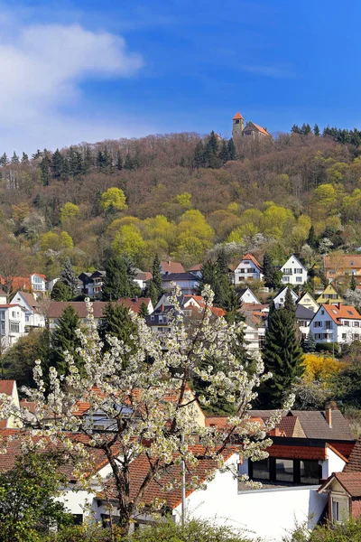 Wachenburg Sobre Weinheim — Fotografia de Stock