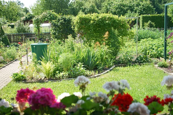 Jardim Com Flores Prado — Fotografia de Stock