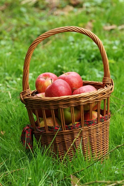 Cesta Manzanas Rojas —  Fotos de Stock