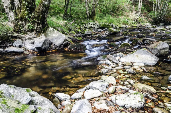 Hermosa Imagen Río Con Grandes Detalles Alta Resolución Foto Está — Foto de Stock