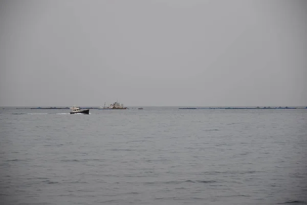 Pesca Barco Gaivotas Espanha — Fotografia de Stock