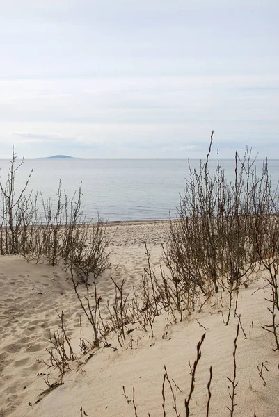 Вид Балтийское Море Песчаного Пляжа Шведского Острова Оланд — стоковое фото