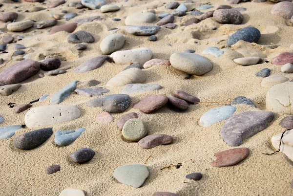 Detalhe Uma Praia Areia Ilha Sueca Oland Mar Báltico — Fotografia de Stock