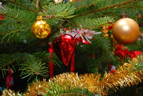 Anis Spezia Popolare Natale — Foto Stock
