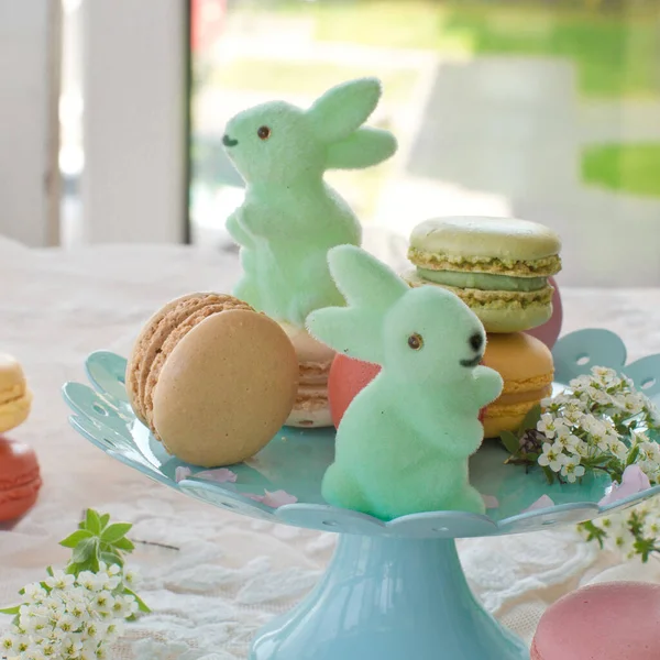 Coloridos Macarones Franceses Plato Azul Pequeños Conejitos Pascua — Foto de Stock