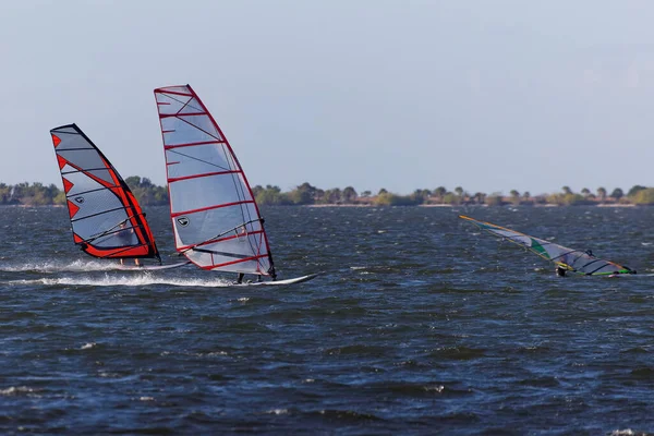 Windsurfing Sport Ekstremalne Surfing — Zdjęcie stockowe