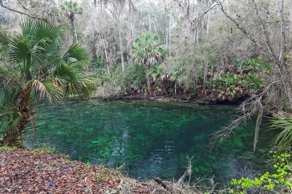 Parque Estatal Manantiales Azules Florida — Foto de Stock