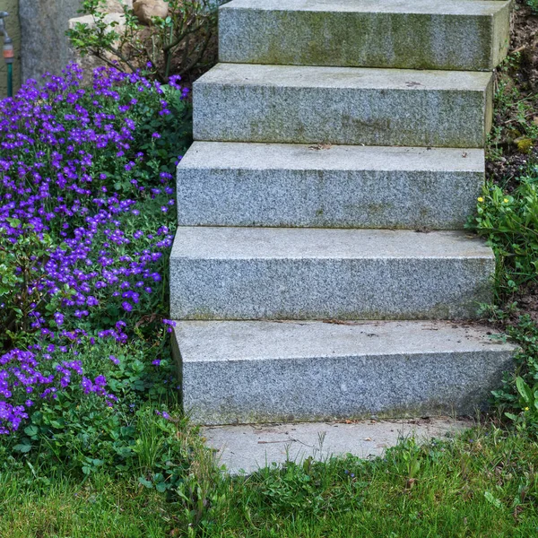 Escada Jardim Com Flores Azuis — Fotografia de Stock