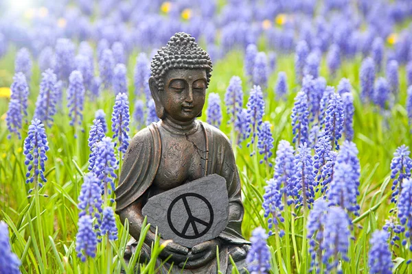 Socha Buddhy Mír — Stock fotografie