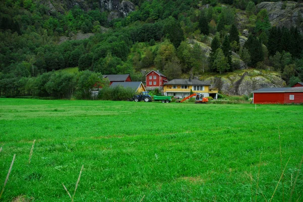 노르웨이의 — 스톡 사진