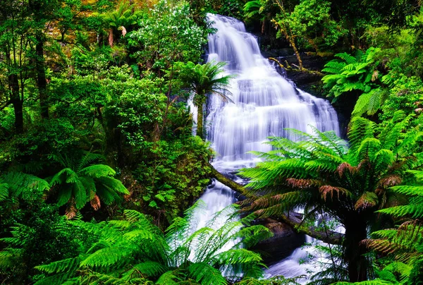 Καταρράκτης Otway Εθνικό Πάρκο Australia — Φωτογραφία Αρχείου