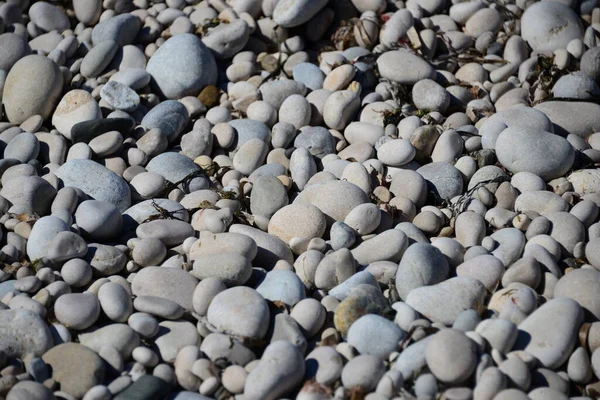 Piedras Mediterráneo España — Foto de Stock
