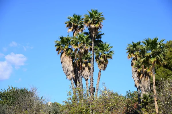 Flygfoto Katalonien Spanien — Stockfoto