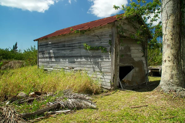 Une Cabane Abandonnée Garage Soleil Avec Champ Envahi Image En Vente