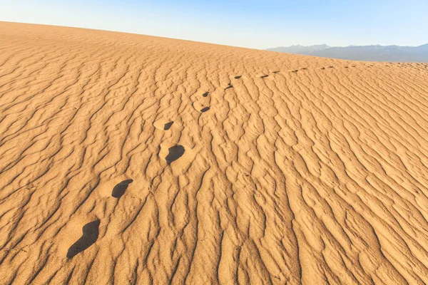 牧豆树平在死亡谷沙漠 加利福尼亚州的沙丘 — 图库照片