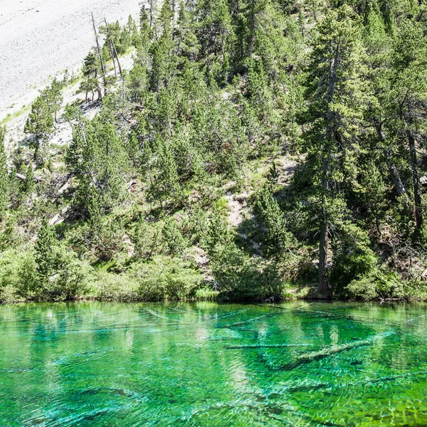 バルドネッキア イタリア ローカル海藻による蛍光色とアルパイン湖 — ストック写真