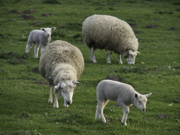 Aussichtsreicher Blick Auf Die Landwirtschaft Auf Dem Land — Stockfoto