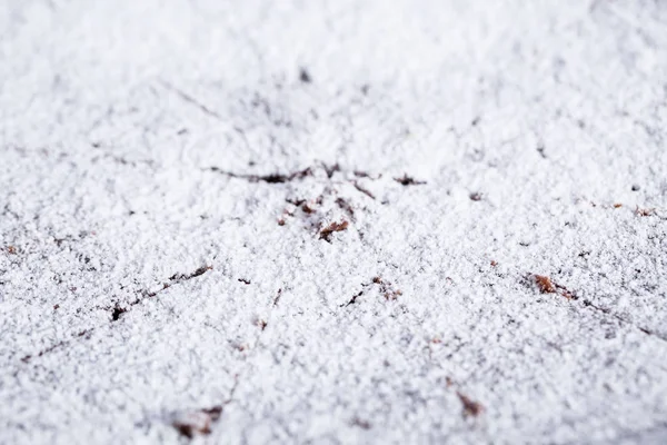 Κοντινό Πλάνο Μπισκότα Σοκολάτας Ένα Λευκό Πιάτο Ζάχαρη Άχνη Τους — Φωτογραφία Αρχείου