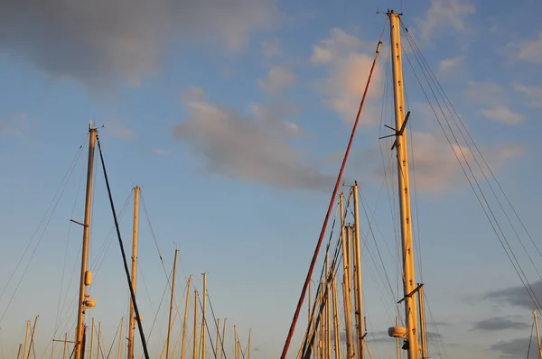 Segelboote Masten Hafen Mit Sonnenuntergang Hintergrund — Stockfoto