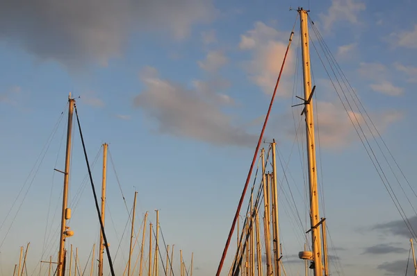 Mâts Bateaux Voile Dans Port Avec Fond Coucher Soleil — Photo