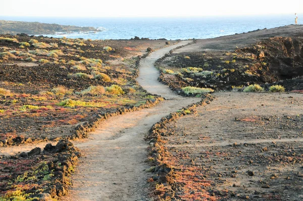 Resor Koncept Bakgrund Pathway Den Vulkaniska Öknen Teneriffa Canaty Islands — Stockfoto