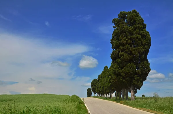 Toskanische Landschaft Mittelitalien — Stockfoto