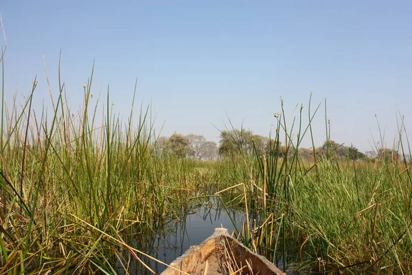 Con Mokoro Attraverso Okavangodelta — Foto Stock