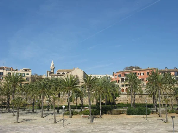 Parc Mar Palma Mallorca — Foto de Stock