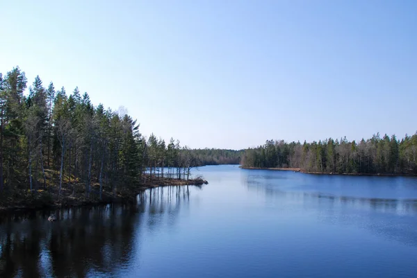 Beskåda Skog Lake Den Svenska Landskapet Småland — Stockfoto