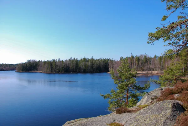 Lago Calmo Nas Florestas Província Smaland Suécia — Fotografia de Stock