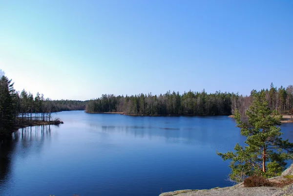 Danau Tenang Hutan Provinsi Smaland Swedia — Stok Foto