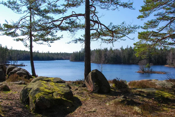 Vista Serena Lago Província Smaland Suécia — Fotografia de Stock
