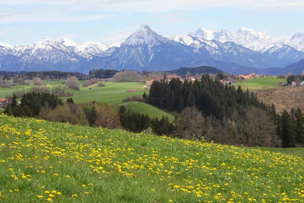 Bavaria Primavera — Foto Stock