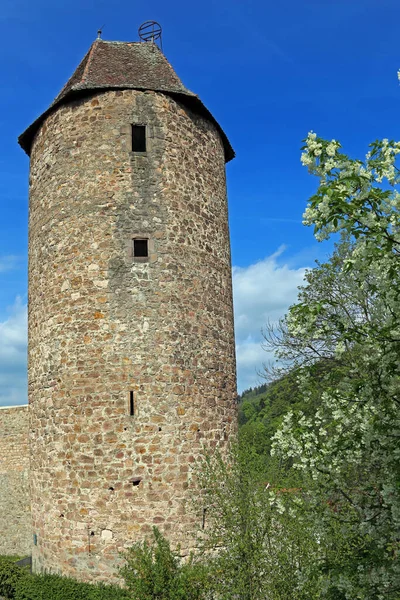 Topi Biru Weinheim — Stok Foto