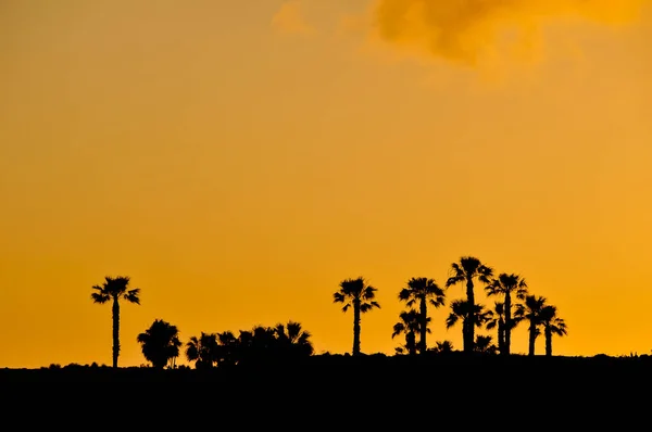 Escena Del Atardecer Tropical Beach Resort Silhouette —  Fotos de Stock