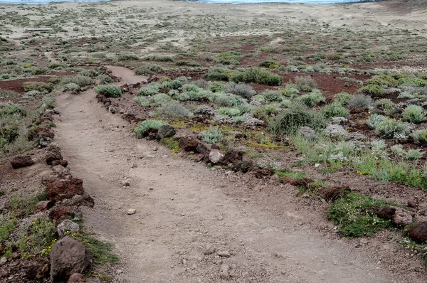 Plano Fundo Conceito Viagem Caminho Deserto Vulcânico Tenerife Canaty Islands — Fotografia de Stock