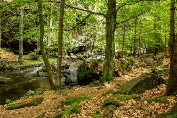 Liten Tjeckisk Bergsbäck Doubrava Tjeckien — Stockfoto