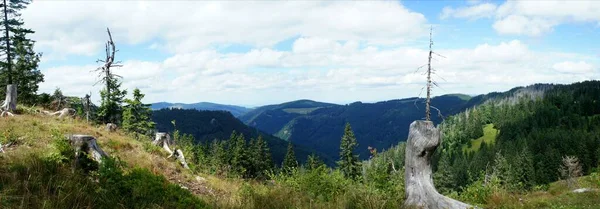 Панорамный Вид Горы Долины Черном Лесу Германии — стоковое фото