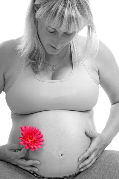 Беременная Женщина Цветком Держащим Голый Живот Двух Цветных — стоковое фото