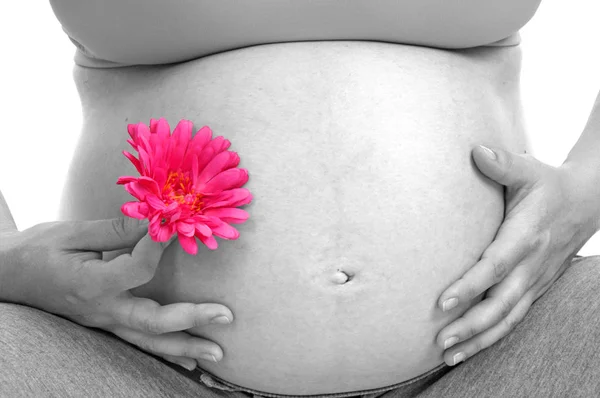 妊娠中の女性は裸の腹を2色にして — ストック写真