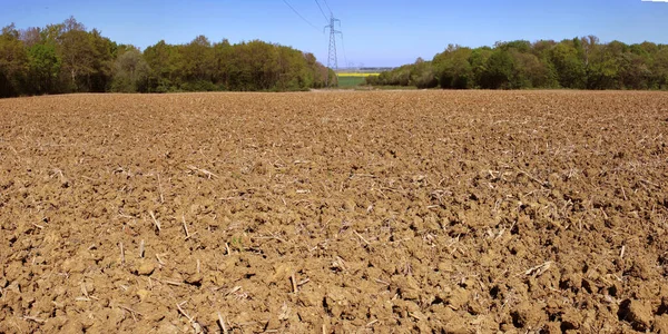 Panoramatická Fotografie Zemědělské Půdy Ekologické Zemědělské Stromy Modré Obloze — Stock fotografie