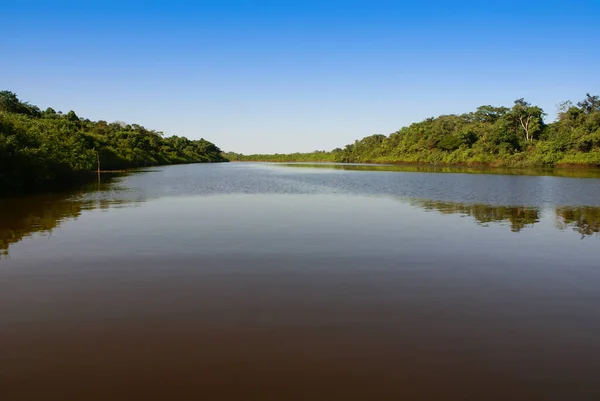 Río Hermosos Árboles Bosque Lluvioso Perú — Foto de Stock