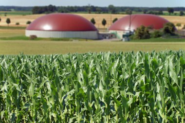 Biogas facility and corn field clipart