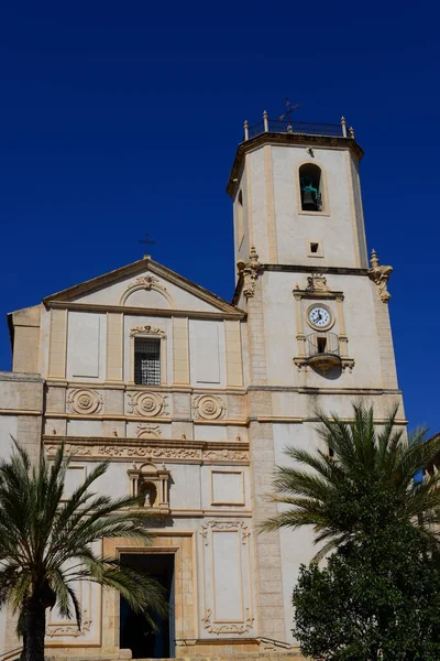 Palmbladeren Spanje Kopieer Ruimte — Stockfoto