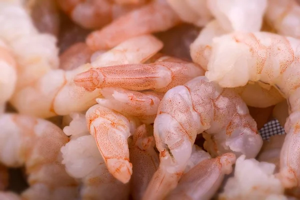 Camarões Vermelhos Comida Mar — Fotografia de Stock